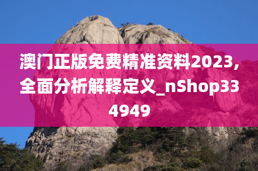 澳门正版免费精准资料2023,全面分析解释定义_nShop334949