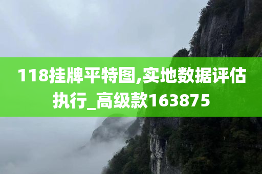 118挂牌平特图,实地数据评估执行_高级款163875