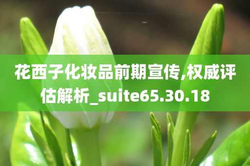 花西子化妆品前期宣传,权威评估解析_suite65.30.18