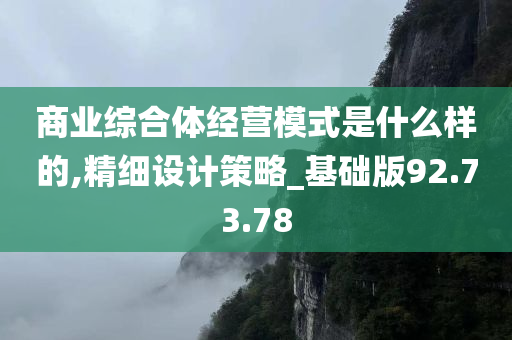 商业综合体经营模式是什么样的,精细设计策略_基础版92.73.78