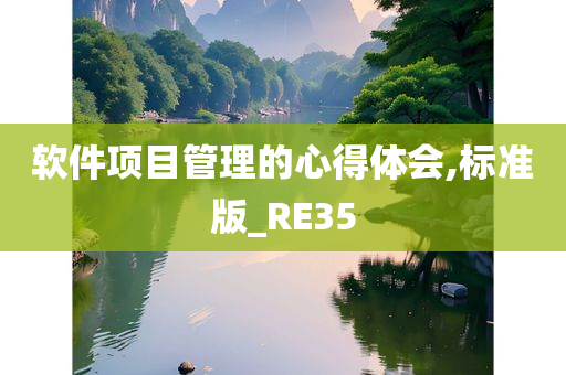 软件项目管理的心得体会,标准版_RE35