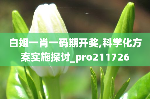 白姐一肖一码期开奖,科学化方案实施探讨_pro211726