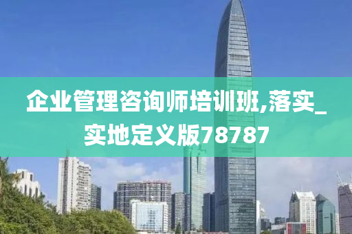 企业管理咨询师培训班,落实_实地定义版78787