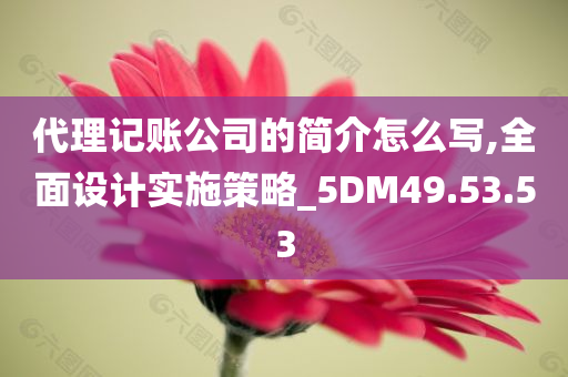 代理记账公司的简介怎么写,全面设计实施策略_5DM49.53.53