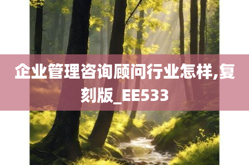 企业管理咨询顾问行业怎样,复刻版_EE533