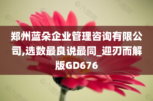 郑州蓝朵企业管理咨询有限公司,选数最良说最同_迎刃而解版GD676