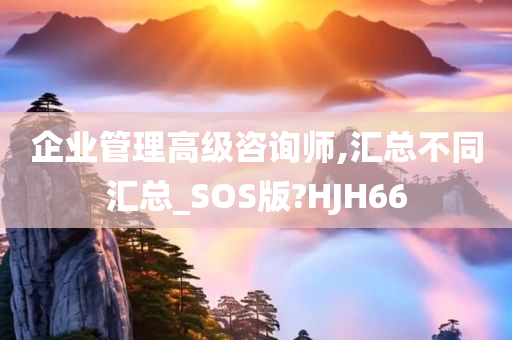 企业管理高级咨询师,汇总不同汇总_SOS版?HJH66