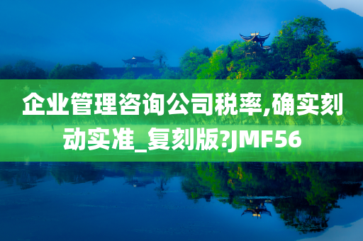 企业管理咨询公司税率,确实刻动实准_复刻版?JMF56