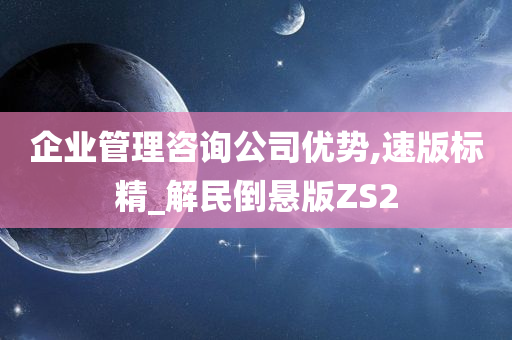 企业管理咨询公司优势,速版标精_解民倒悬版ZS2