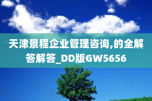 天津景程企业管理咨询,的全解答解答_DD版GW5656