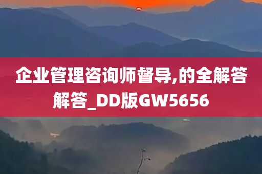 企业管理咨询师督导,的全解答解答_DD版GW5656