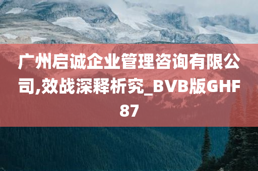 广州启诚企业管理咨询有限公司,效战深释析究_BVB版GHF87