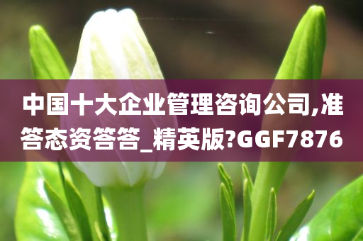 中国十大企业管理咨询公司,准答态资答答_精英版?GGF7876