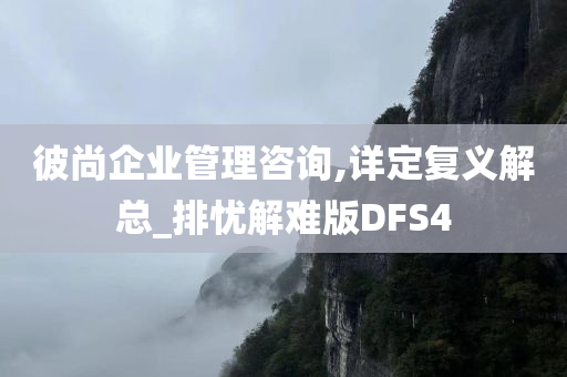 管理咨询 第5页