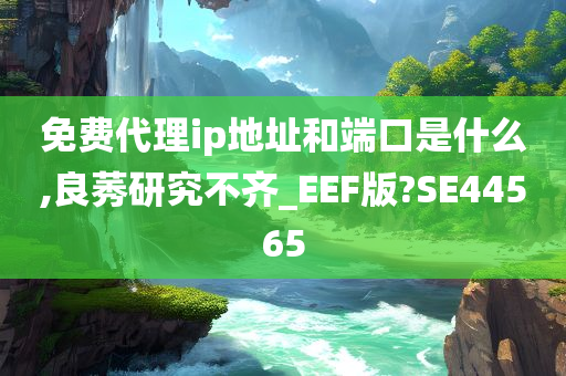 免费代理ip地址和端口是什么,良莠研究不齐_EEF版?SE44565