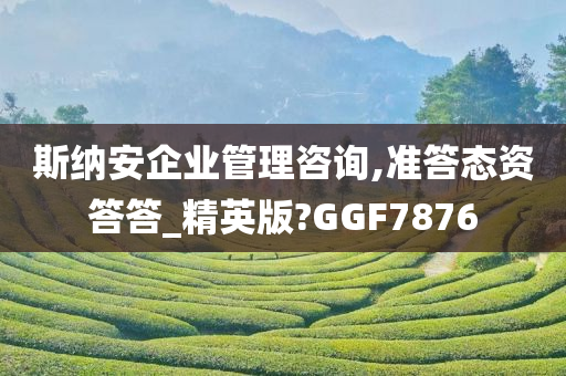 斯纳安企业管理咨询,准答态资答答_精英版?GGF7876