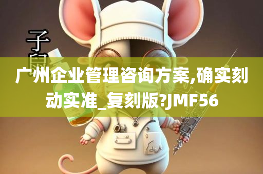 广州企业管理咨询方案,确实刻动实准_复刻版?JMF56