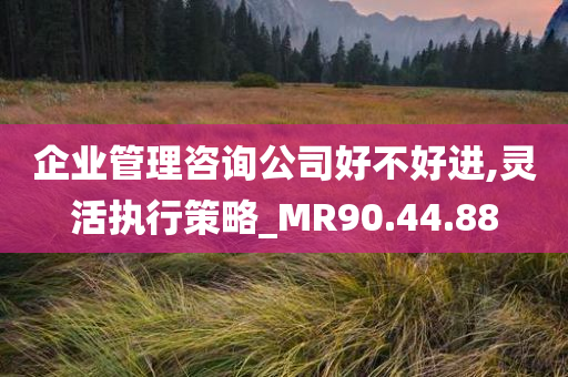 企业管理咨询公司好不好进,灵活执行策略_MR90.44.88