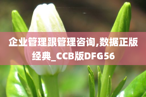 企业管理跟管理咨询,数据正版经典_CCB版DFG56