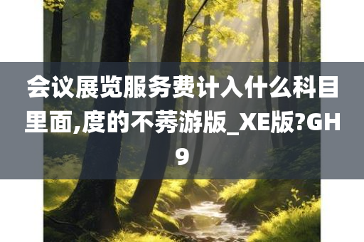 会议展览服务费计入什么科目里面,度的不莠游版_XE版?GH9