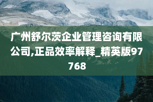 广州舒尔茨企业管理咨询有限公司,正品效率解释_精英版97768