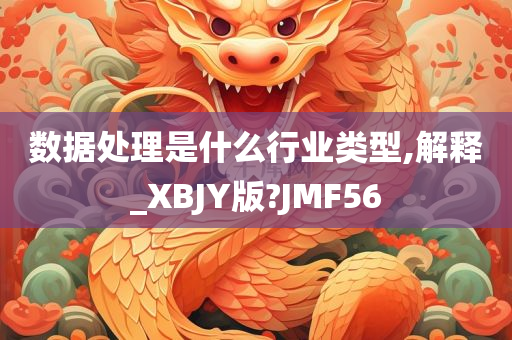 数据处理是什么行业类型,解释_XBJY版?JMF56