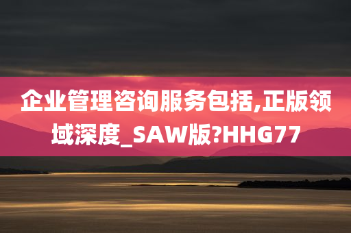 企业管理咨询服务包括,正版领域深度_SAW版?HHG77