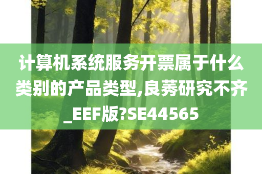 计算机系统服务开票属于什么类别的产品类型,良莠研究不齐_EEF版?SE44565