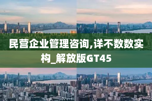 民营企业管理咨询,详不数数实构_解放版GT45