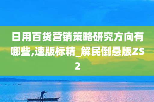 日用百货营销策略研究方向有哪些,速版标精_解民倒悬版ZS2