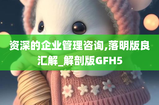 资深的企业管理咨询,落明版良汇解_解剖版GFH5