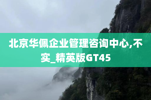 北京华佩企业管理咨询中心,不实_精英版GT45