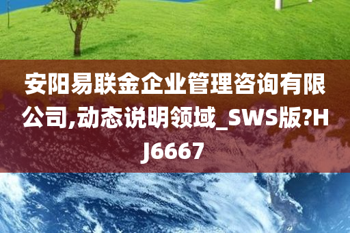 安阳易联金企业管理咨询有限公司,动态说明领域_SWS版?HJ6667