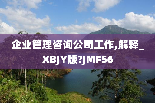 企业管理咨询公司工作,解释_XBJY版?JMF56