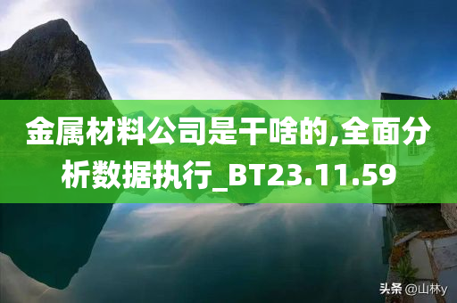 金属材料公司是干啥的,全面分析数据执行_BT23.11.59