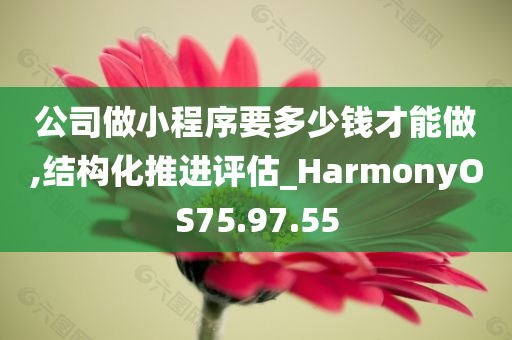 公司做小程序要多少钱才能做,结构化推进评估_HarmonyOS75.97.55