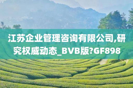 江苏企业管理咨询有限公司,研究权威动态_BVB版?GF898