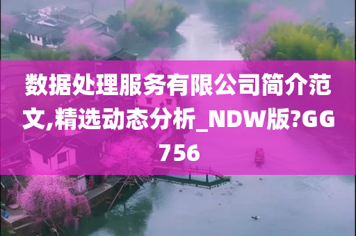 数据处理服务有限公司简介范文,精选动态分析_NDW版?GG756