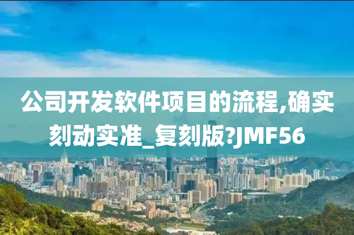 公司开发软件项目的流程,确实刻动实准_复刻版?JMF56