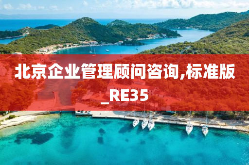 北京企业管理顾问咨询,标准版_RE35