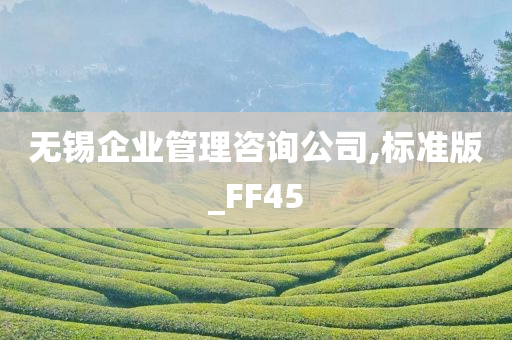 无锡企业管理咨询公司,标准版_FF45