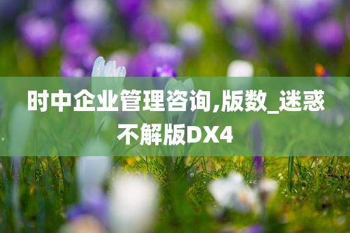 时中企业管理咨询,版数_迷惑不解版DX4