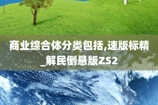 商业综合体分类包括,速版标精_解民倒悬版ZS2