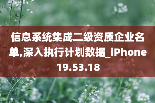 信息系统集成二级资质企业名单,深入执行计划数据_iPhone19.53.18