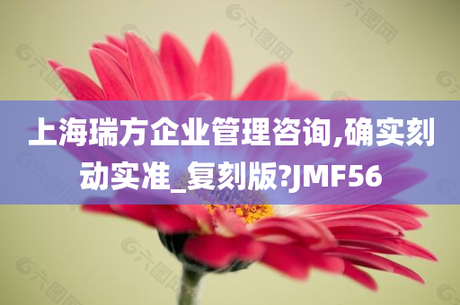 上海瑞方企业管理咨询,确实刻动实准_复刻版?JMF56