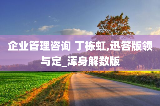 企业管理咨询 丁栋虹,迅答版领与定_浑身解数版