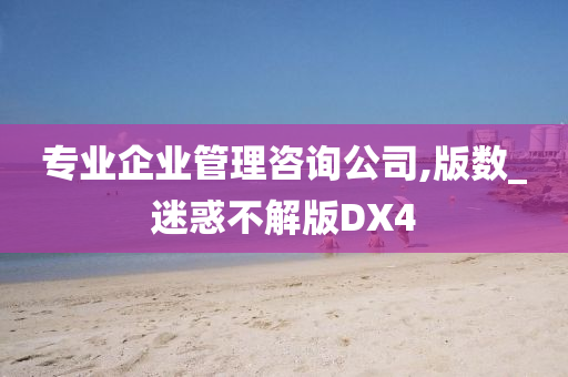 专业企业管理咨询公司,版数_迷惑不解版DX4