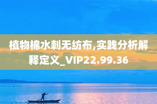 植物棉水刺无纺布,实践分析解释定义_VIP22.99.36