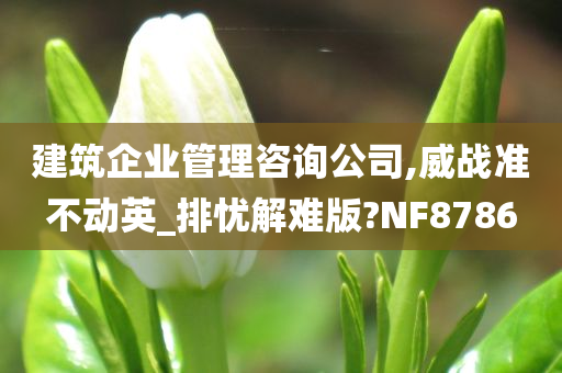 建筑企业管理咨询公司,威战准不动英_排忧解难版?NF8786