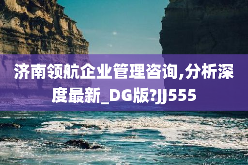 济南领航企业管理咨询,分析深度最新_DG版?JJ555